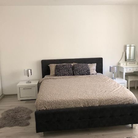 Skepsis Apartament Διαμέρισμα Άλμπα Ιούλια Εξωτερικό φωτογραφία