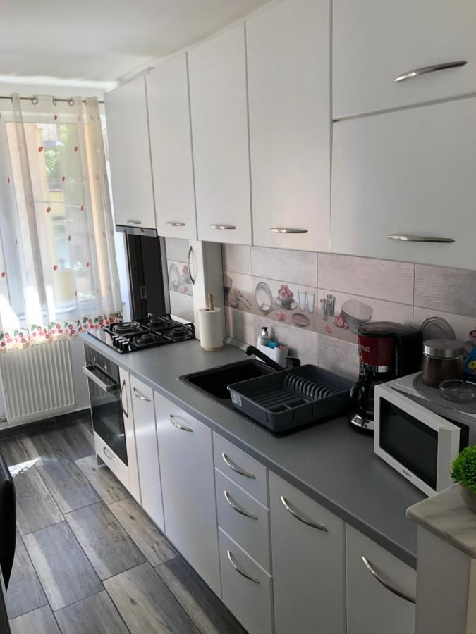 Skepsis Apartament Διαμέρισμα Άλμπα Ιούλια Εξωτερικό φωτογραφία